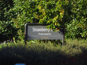 Strawberry Vale, London N2